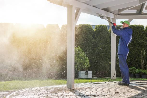 Best Solar Panel Cleaning  in Kittitas, WA