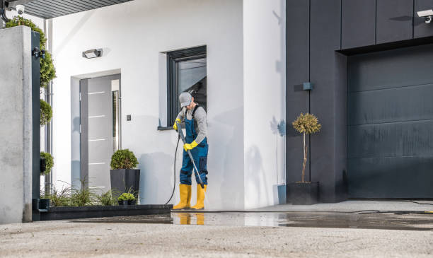Best Soft Washing  in Kittitas, WA